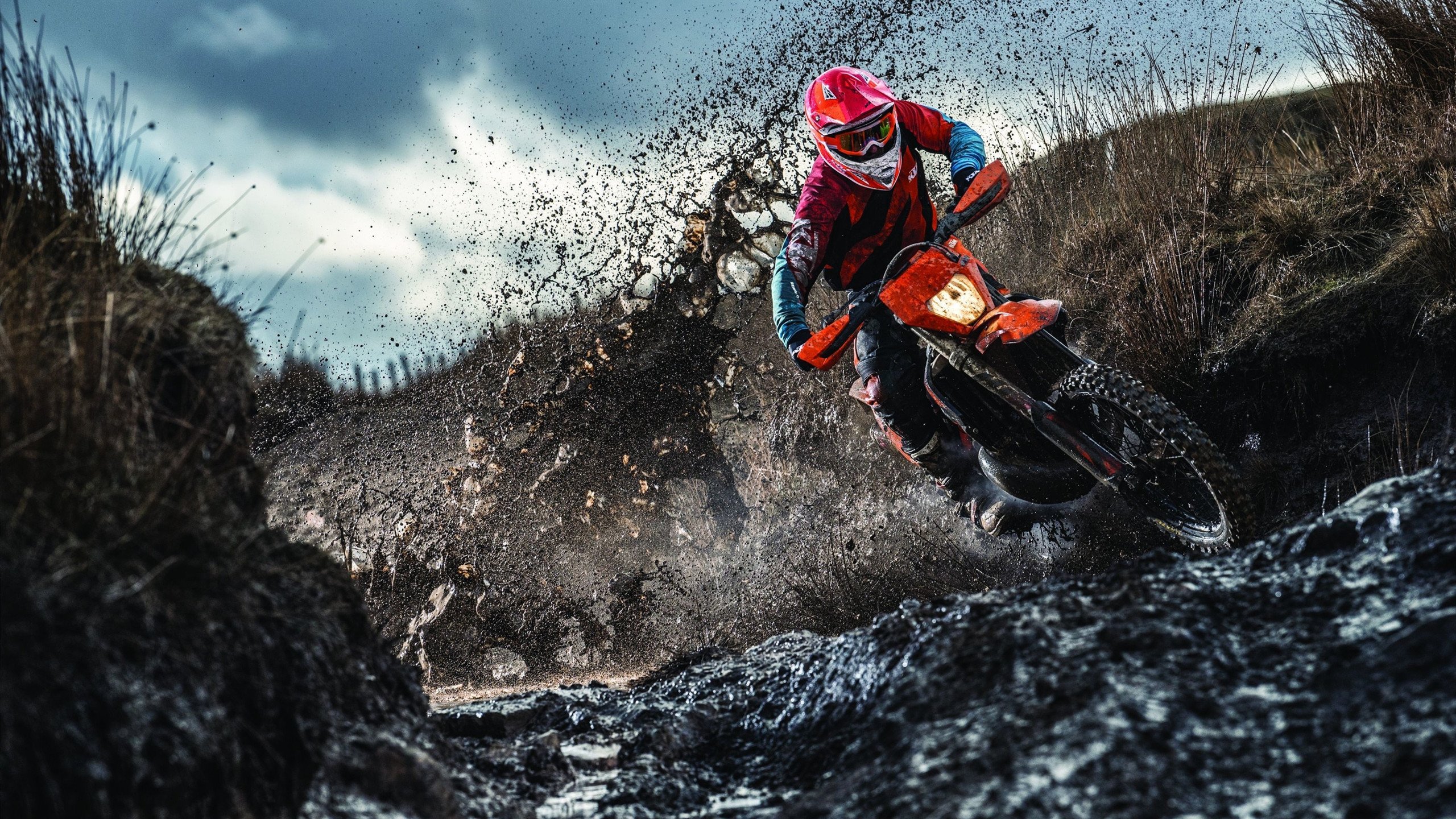 _滑索穿越森林：在绿色海洋中极速驰骋_，滑索图片