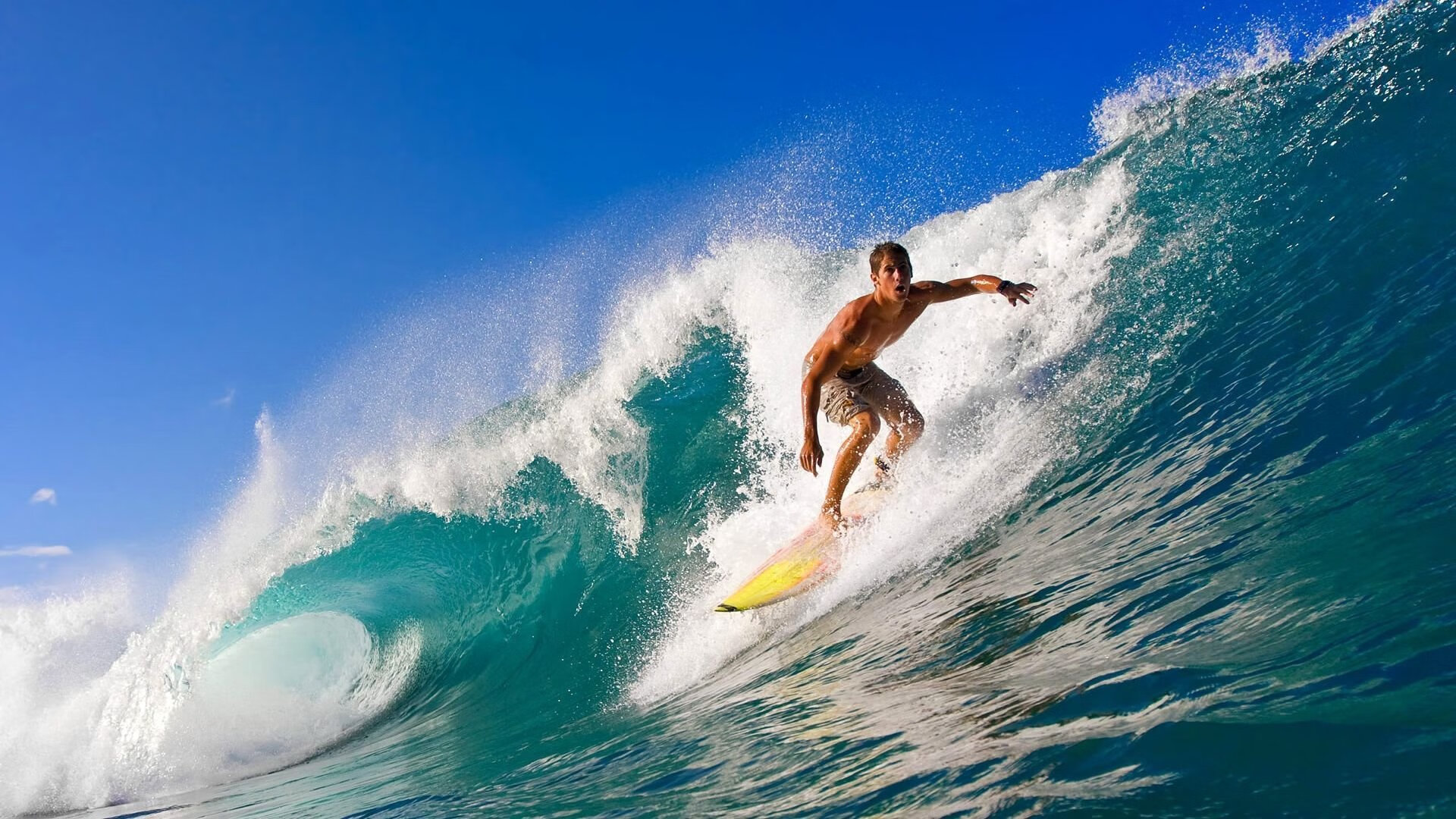 瑜伽与冥想运动会，身心合一的健康体验，瑜伽与冥想运动会,身心合一的健康体验包括